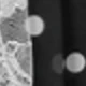 Lace Trim - Black Polka Dot