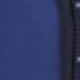 Car Dinosaur Blue
