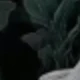متعدد الألوان