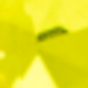 Amarillo-E036