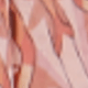 彩色