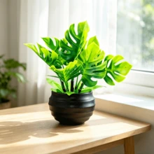 1件人造龜耳榕植物，6英吋仿真龜耳榕配6英吋白色花盆，適合桌面、餐桌裝飾、居家裝飾、辦公室書架裝飾，美化您的生活！ - 綠色 - 查看 14
