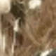 Brownish-green 3