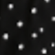 Black Polka Dot