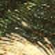 Verde Oscuro