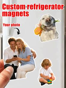 Multi-colored Irregularly Shaped Refrigerator Magnets