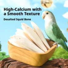 Desalinated Cuttlebone Chewing Toy And Beak Grinding Snack, Natural Calcium Supplement For Birds, Parrots, Reptiles, Turtles, Durable Cage Accessory, Daily Treat For Small Pets - 8-10 - View 4