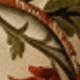 Nhiều màu
