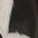 الأسود