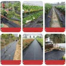 1pc Breathable Barrier Fabric, Heavy Duty Control Mat, Premium Garden Landscape Control Mat, Durable, Suitable For Garden, Patio, Flower Bed - Multiple Styles - View 9