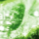 Oregano