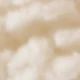 بيج