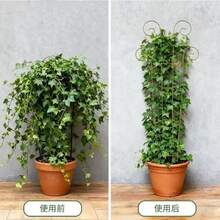 Plant Climbing Trellis, Butterfly Decor, Rust-Proof Plastic Plant Support, Suitable For Potted Vines And Flowers, Indoor And Outdoor Garden Supplies, Summer Essential, Back To School, Graduation Season, Gardening Supplies, Camping, Garden Decoration, Plant Stand. - B - View 7