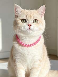 Cat Pearl Necklace Fashion 10mm Deep Pink Pearl Collar Pet Neck Collar Dog Classic Accessory - Hot Pink - View 4