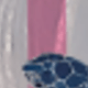 彩色