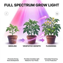 1件 16.4英尺 USB供電 LED植物生長燈條，全光譜多肉植物補光燈，適合多肉植物、室內植物與花園種苗培育 - plant light strip - 查看 3