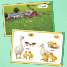 The Farm – 阿拉伯語兒童早期學習書 | 探索農場動物、水果與蔬菜 | 適合幼兒與學齡前兒童的趣味教育書 - 農場 - 查看 3