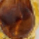 Amber