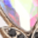 Black Iridescent
