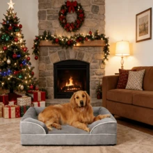 Pet Sofa - Light Grey - View 4