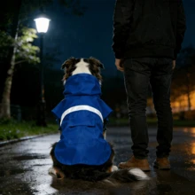 狗狗雨衣 可調節寵物防水衣 輕量雨外套披風連帽衫 附反光條 - 藍色 - 查看 3