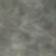 Gray 1