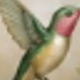 Green Peace Dove