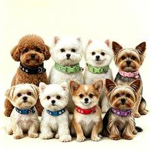 Dog Collar Pet Cute Cartoon Adjustable Neck Collar Small-Medium Printed Bell Cat Collar Neckband - Purple - View 4
