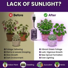1件 16.4英尺 USB供電 LED植物生長燈條，全光譜多肉植物補光燈，適合多肉植物、室內植物與花園種苗培育 - plant light strip - 查看 7