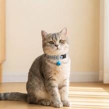 2pcs Blue Cat Collar Set, Adjustable Quick Release Collar, Suitable For Cats And Small Dogs, Soft And Comfortable Pet Collar - Blue - View 5