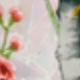 彩虹花鳥貼