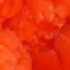 Dark Orange