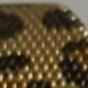 金色