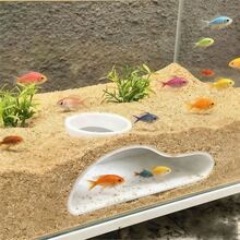 水族魚隧道躲藏處 天然彎曲洞穴裝飾，適用於孔雀魚、鬥魚和長鯰魚，淡水與鹹水魚缸配件，易於安裝的魚類躲藏處 - A - 查看 1