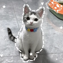 2pcs Blue Cat Collar Set, Adjustable Quick Release Collar, Suitable For Cats And Small Dogs, Soft And Comfortable Pet Collar - Blue - View 3