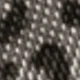 Silver Black Leopard Print