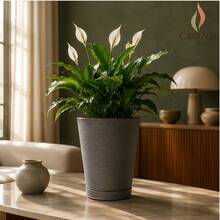 Plant Pot Column Grafiato PP - Grey - View 4