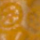 彩色