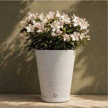 Plant Pot Column Grafiato PP - White - View 1
