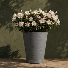 Plant Pot Column Grafiato PP - Grey - View 9