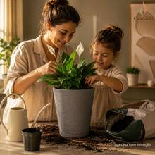 Plant Pot Column Grafiato PP - Grey - View 6