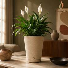 Plant Pot Column Grafiato PP - Beige - View 4