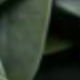 彩色