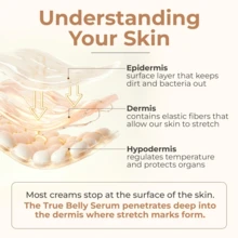 8 Sheep Organics True Belly Serum, Centella & Hyaluronic Acid Infused Belly Care Serum For Daily Body Nourish - Abdominal Repair Essence - View 4