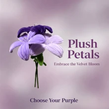 150/300 pièces Tiges de chenille dégradé violet mélangé, tiges de fleurs en chenille violet foncé douces et moelleuses pliables, bâtons d'artisanat en peluche flexibles, convient pour les bouquets de lys et de tulipes DIY, la décoration florale faite main pour la maison, les décorations de fête, les matériaux d'artisanat DIY - Multicolore - Voir 5