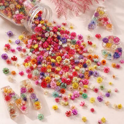 About 70/140/280pcs Mini Dried Flowers For Resin, Random Daisy Filler, DIY Craft Supplies, Mini-Dried Flower Bulk For Resin Art, Jewelry, Candle Makin
