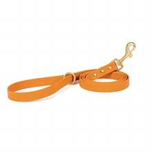 KEEPLIVE Waterproof PVC Dog Leash, Durable Stain-Resistant Pet Walking Rope, With Gold Hardware, 5 Feet Long, Suitable For Puppy Training, Daily Walks, Park, Hiking, Outdoor - Multicolor - View 14