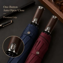Guarda-chuva Automático à Prova de Vento com 10 Varas, Proteção UV UPF50+, Guarda-chuva Dobrável Grande e Portátil para Chuva e Sol, Unissex, Presente de Moda para Viagens de Negócios - Guarda-chuva dobrável de dez varetas - Visão 10