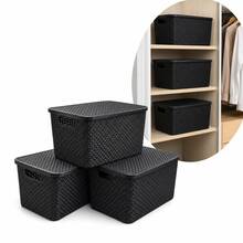 Kit Com 2 Caixas Cestos Organizadores Rattan Com Tampa 7L - Visão 3