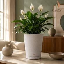 Plant Pot Column Grafiato PP - 淺灰色 - 查看 4